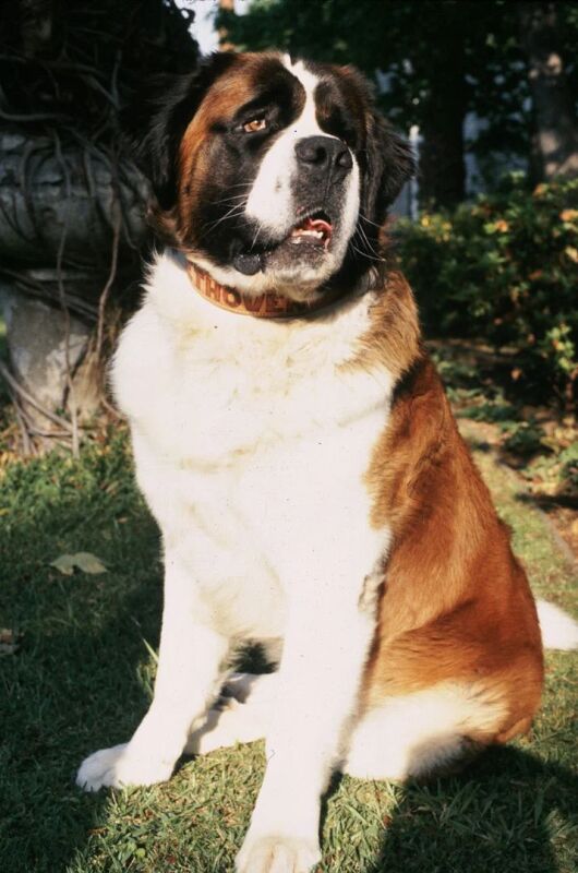 Beethoven