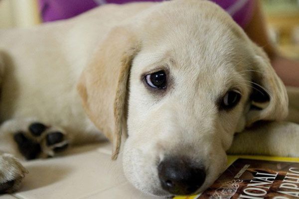 Marley