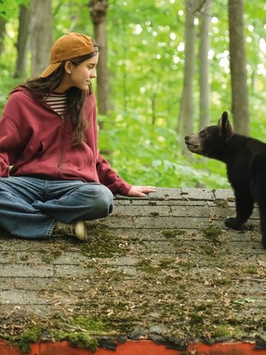 Melody pour un ours film 2027